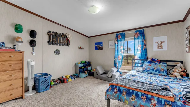 a bedroom with a bed and a couch