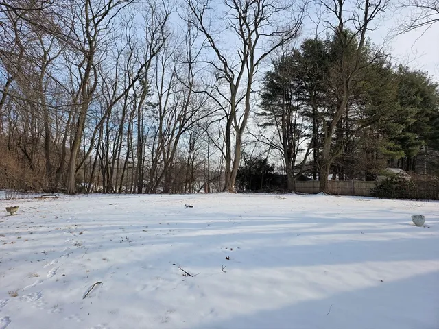 a view of beach space and yard