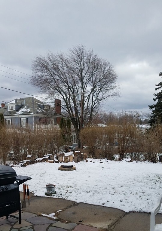 8 Liscomb Street Worcester, MA 01604 - Photo 13 of 15 Gallery Image 13