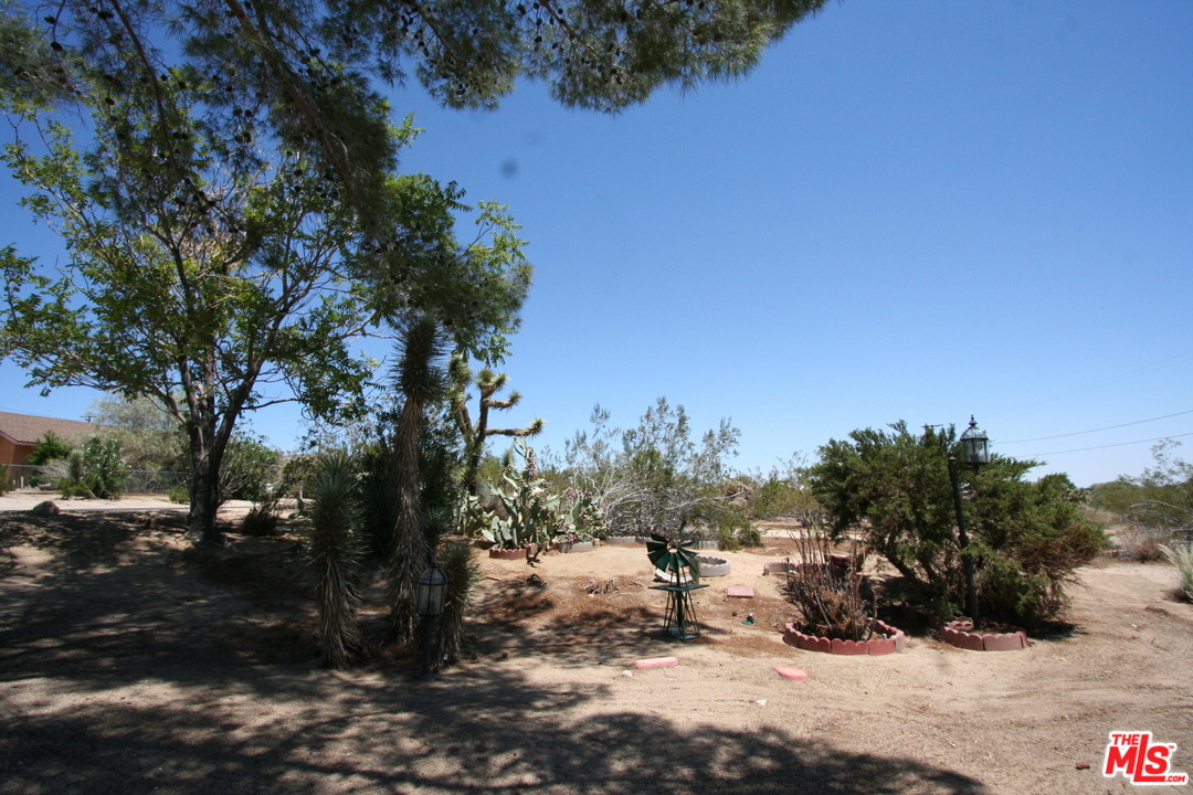 6105 Panorama Road Joshua Tree, CA 92252 - Photo 6 of 39