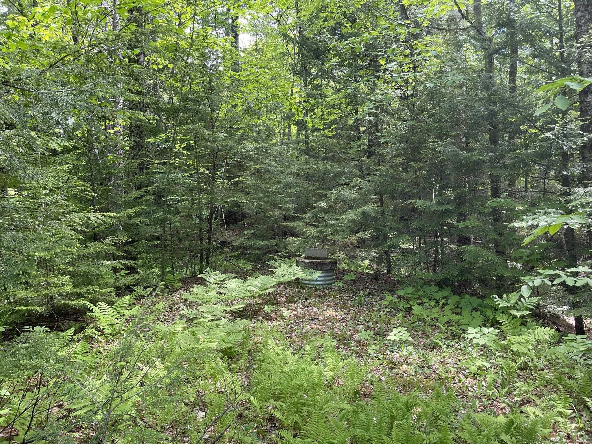 84 Wolfeboro Road Hanover, NH 03755 - Photo 17 of 36