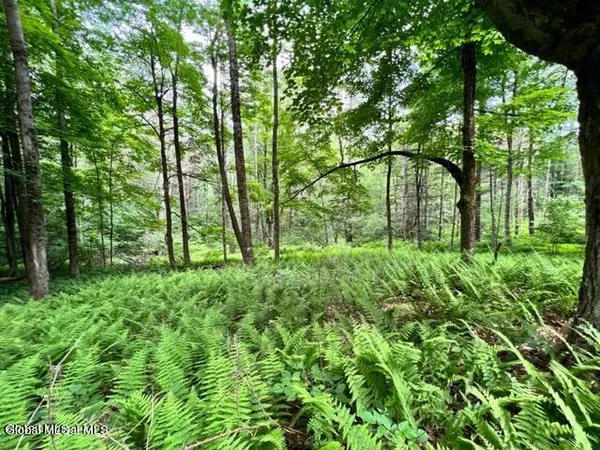 $39,900 | Lot 2 Mcgregor Road, Unit LOT 2, Gloversville, NY 12078