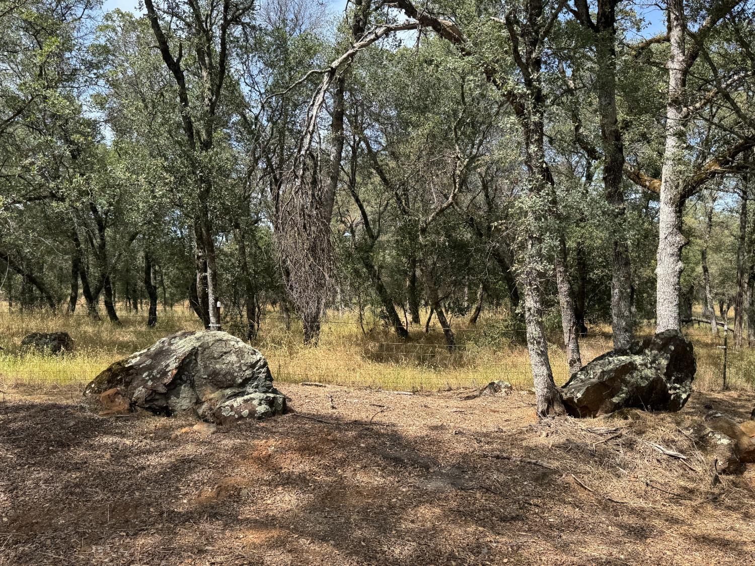 11168 Lone Star Road Auburn, CA 95602 - Photo 9 of 51