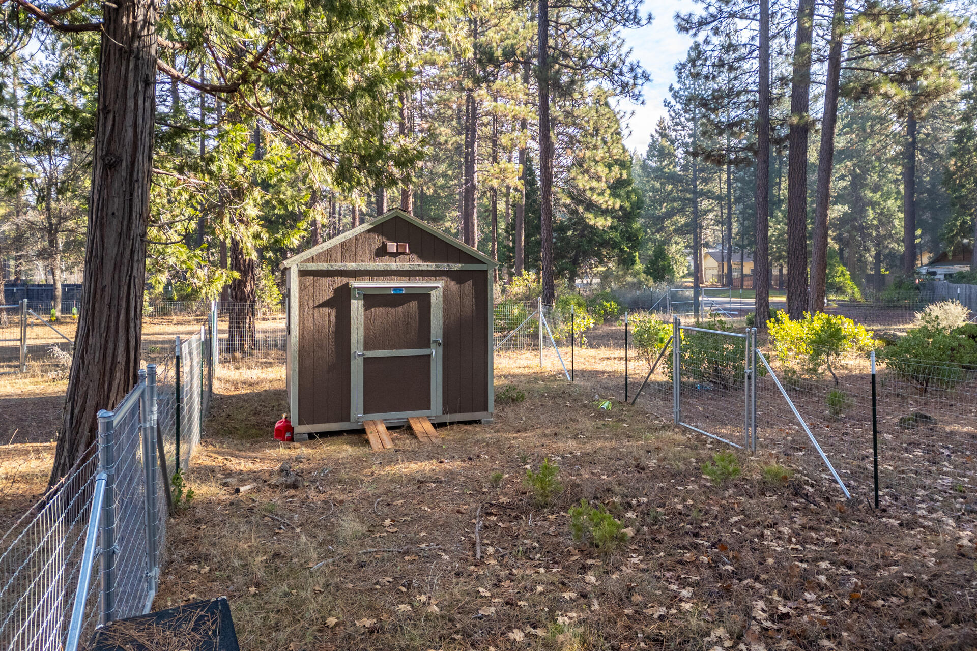 Serpentine Lane Burney, CA 96013 - Photo 6 of 13 DJI_0421-HDR