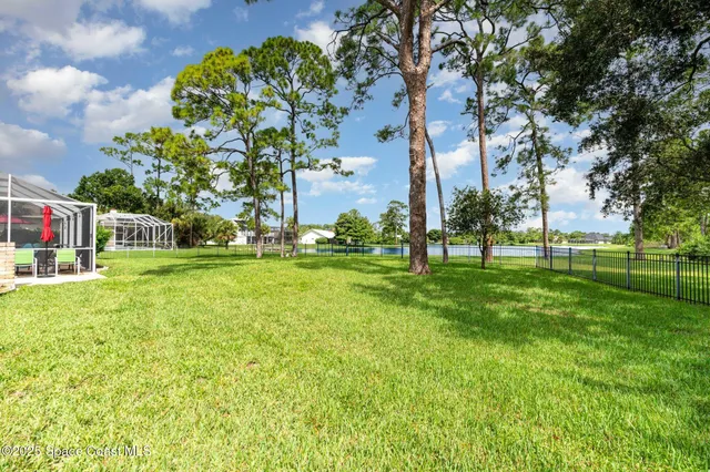 a view of a park with large trees