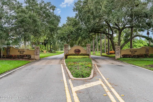 a view of a garden with large trees