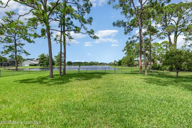a view of a park with large trees
