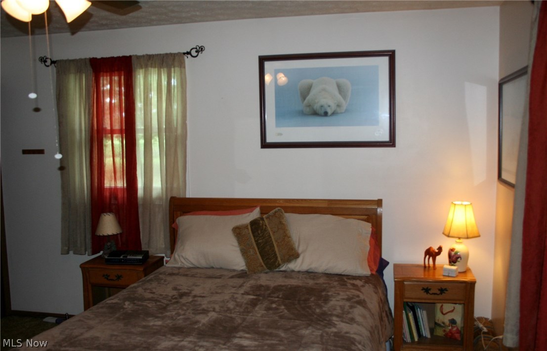 10375 West Smith Road Litchfield, OH 44253 - Photo 11 of 35 Master Bedroom