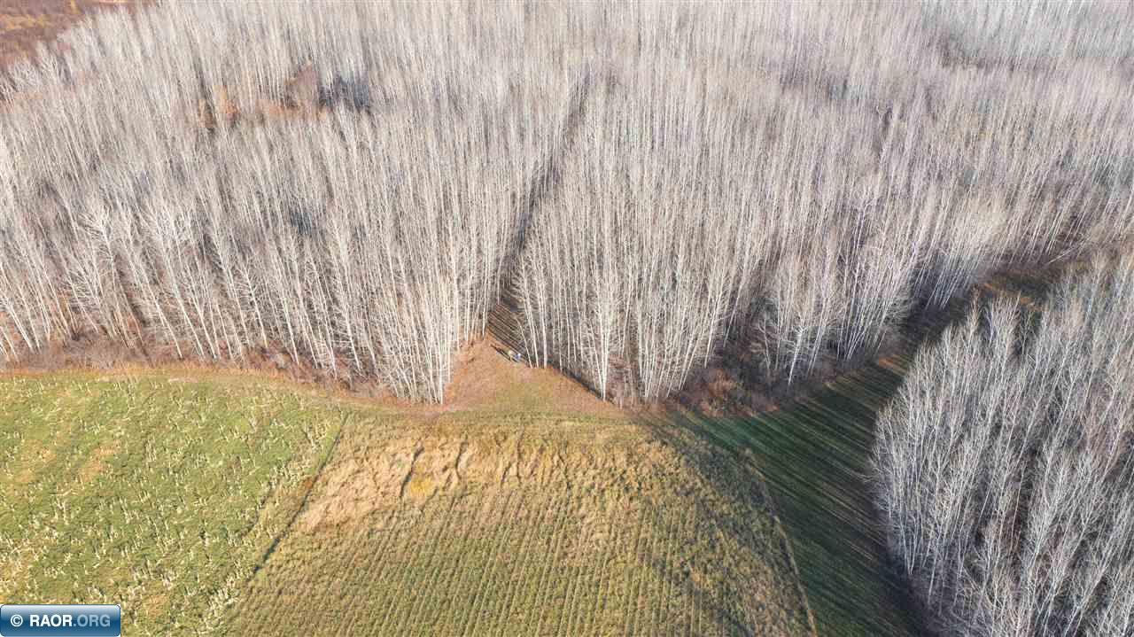 11680 Co Road Orr, MN 55771 - Photo 8 of 23