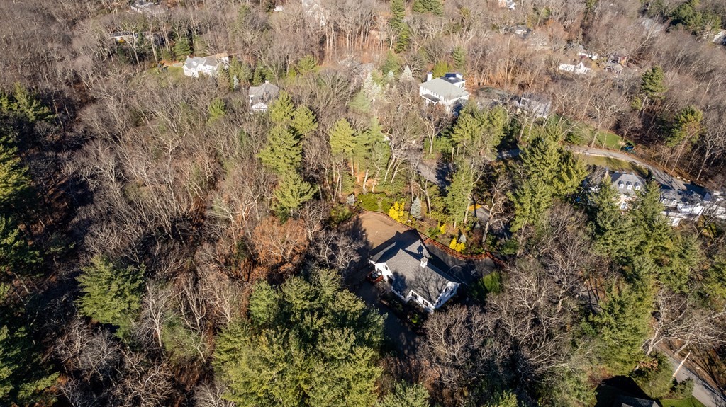 a bird view of house