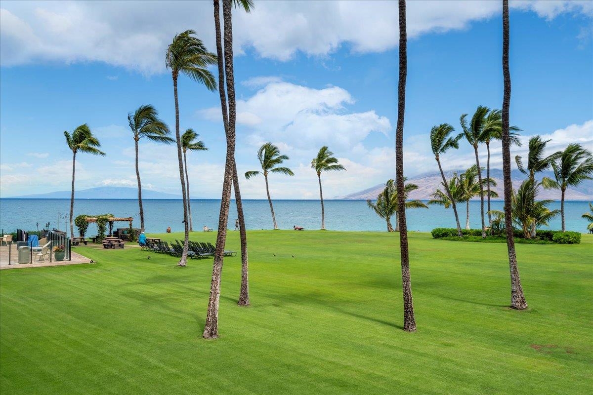 2936 South Kihei Road, Unit 213 Kihei, HI 96753 - Photo 47 of 47 Gallery Image 47