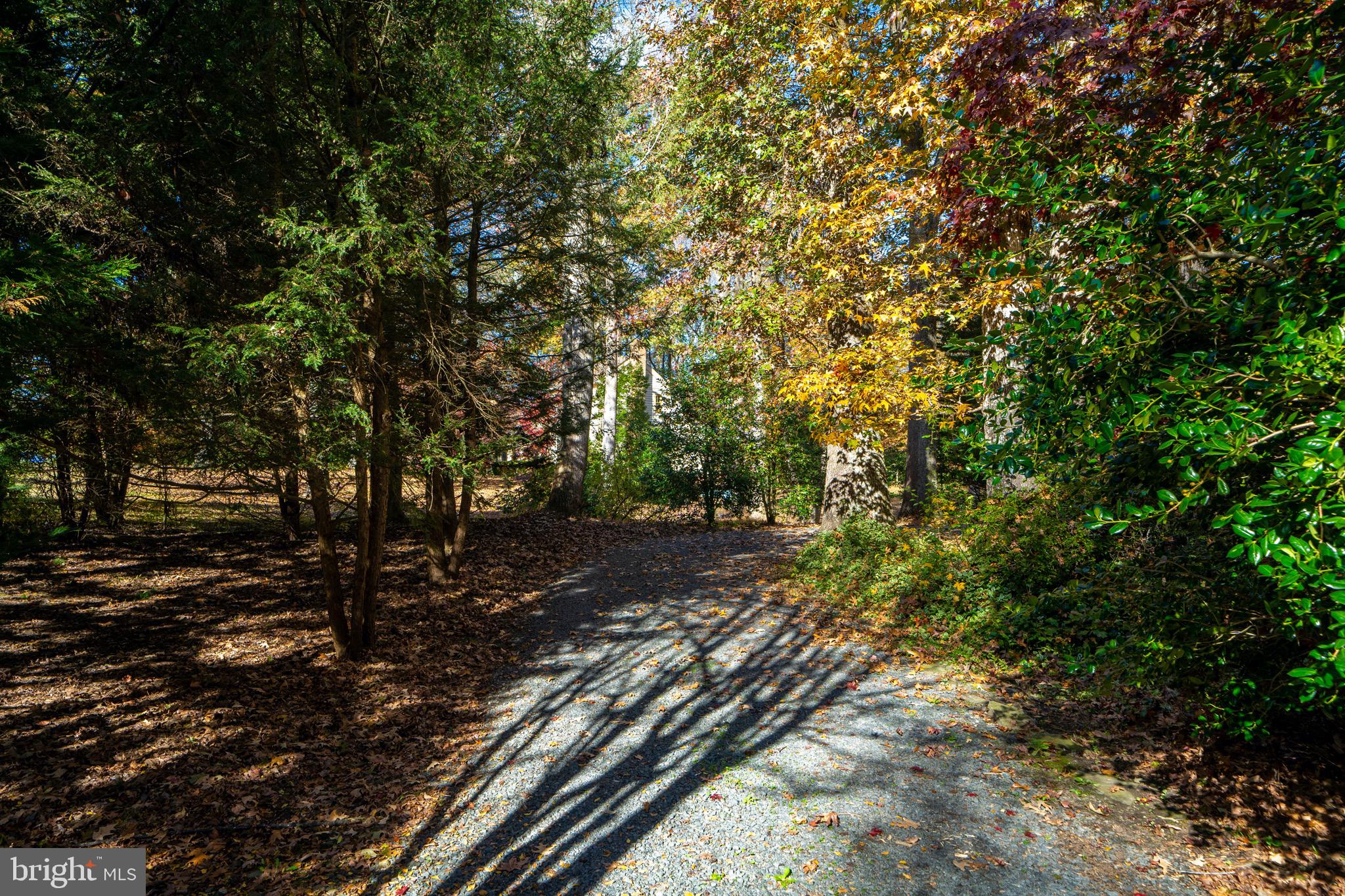 951 Bowie Shop Road Huntingtown, MD 20639 - Photo 48 of 50