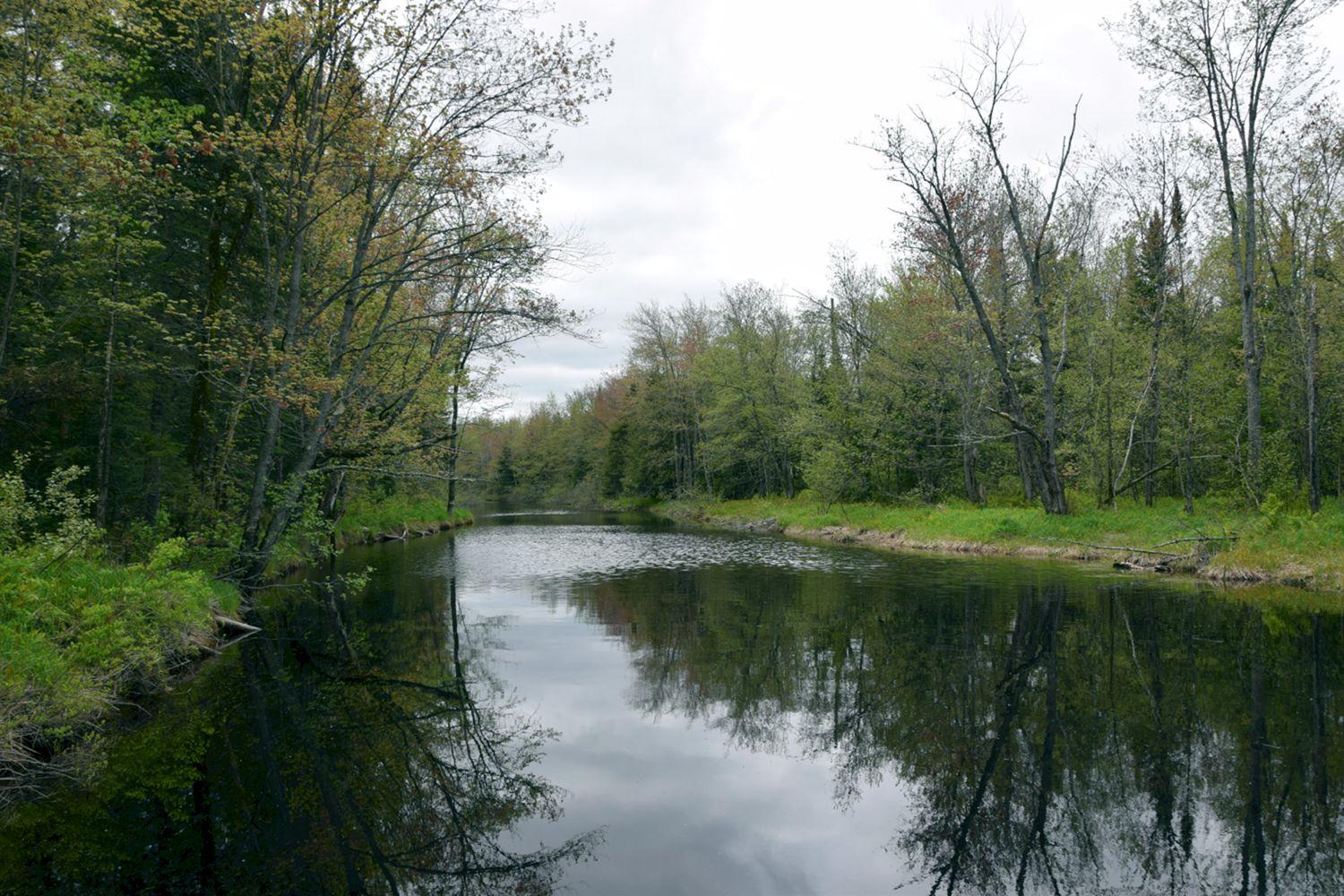 1a Halls Bridge Road Canaan, ME 04924 - Photo 1 of 44 Black Stream