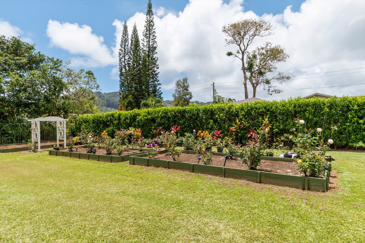 6154 Olohena Road, Unit 2 Kapaa, HI 96746 - Photo 27 of 27 a view of a lake with boats and trees in the background