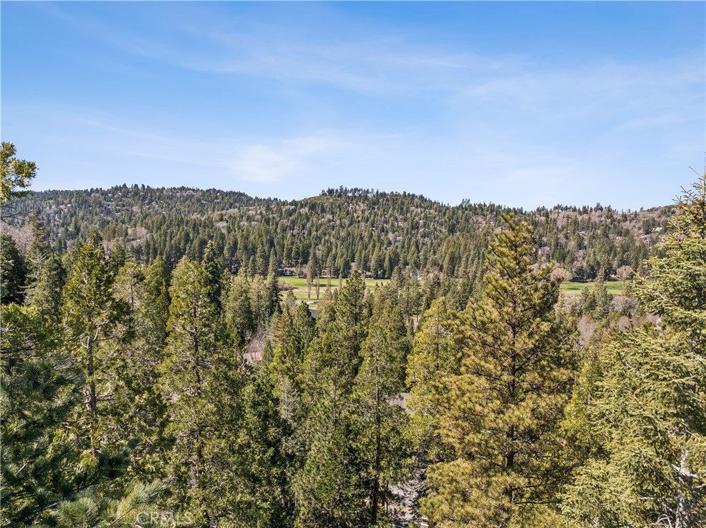 460 Pioneer Road Lake Arrowhead, CA 92352 - Photo 47 of 48 a view of a large building