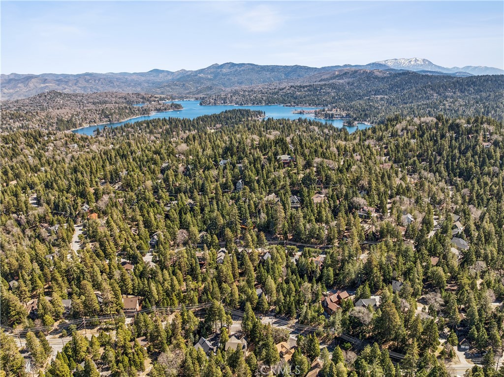 460 Pioneer Road Lake Arrowhead, CA 92352 - Photo 48 of 48 an aerial view of residential house and green space