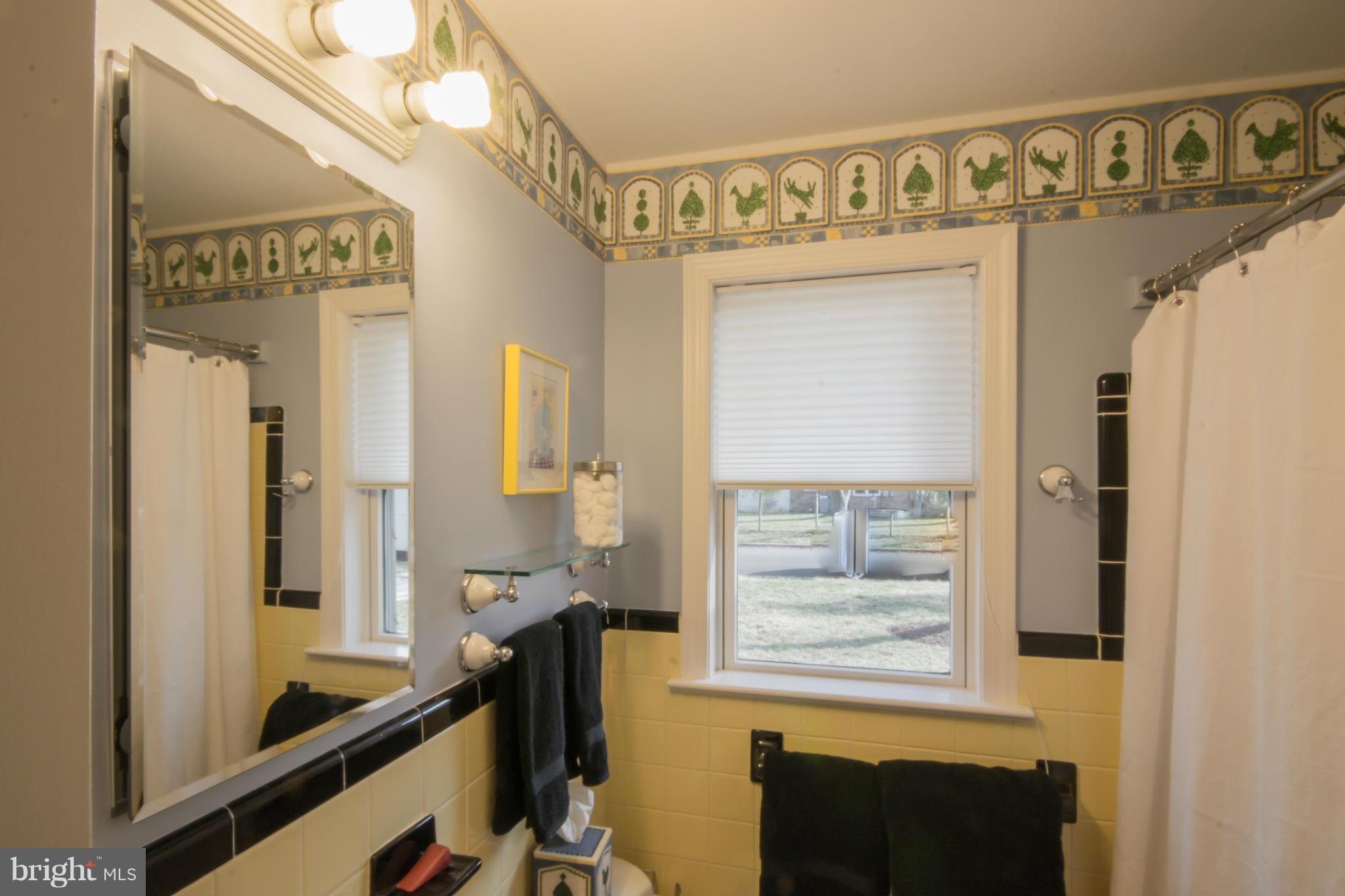 1808 Jamestown Road Alexandria, VA 22308 - Photo 17 of 30 Ample lighting in main bathroom