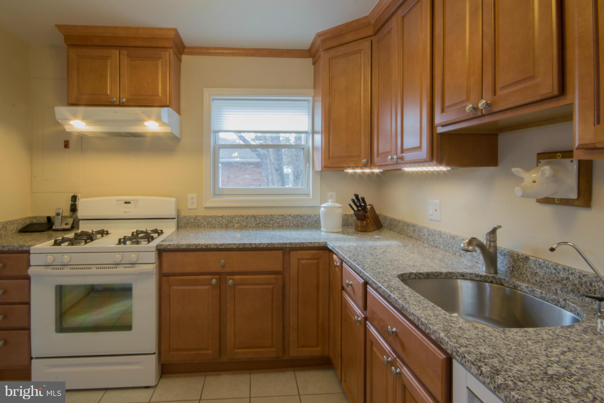 1808 Jamestown Road Alexandria, VA 22308 - Photo 9 of 30 Upgraded granite countertops