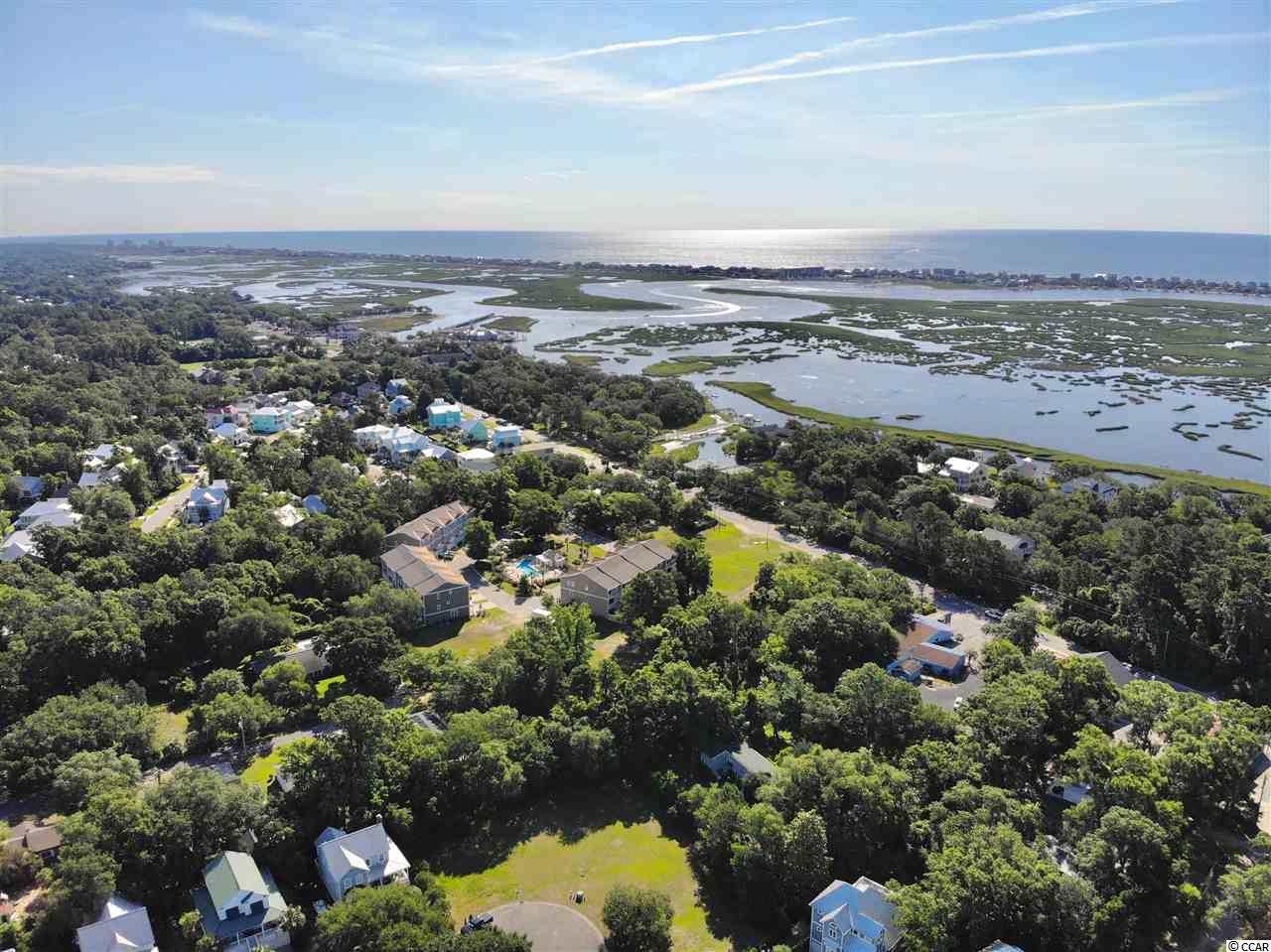 Lot 25 Orchard Avenue Murrells Inlet, SC 29576 - Photo 4 of 15 Gallery Image 4