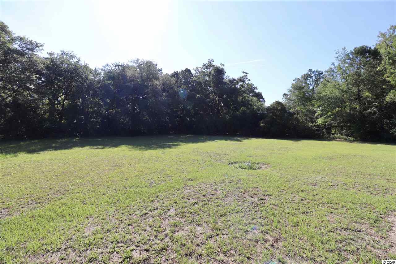 Lot 25 Orchard Avenue Murrells Inlet, SC 29576 - Photo 8 of 15 Gallery Image 8