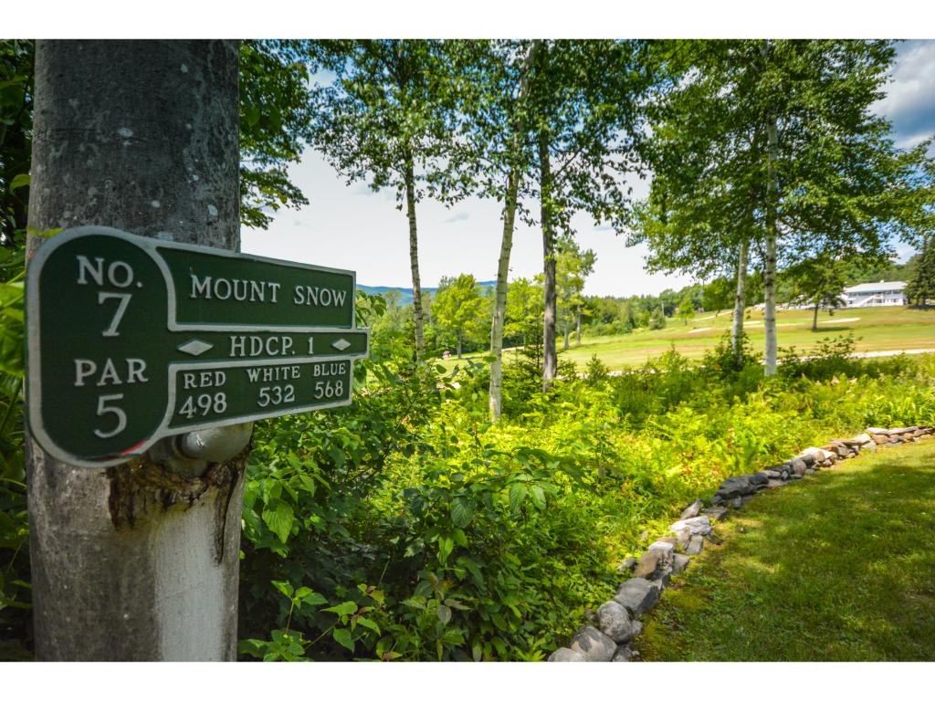 22 Airport Road West Dover, VT 05356 - Photo 6 of 22 Gallery Image 6