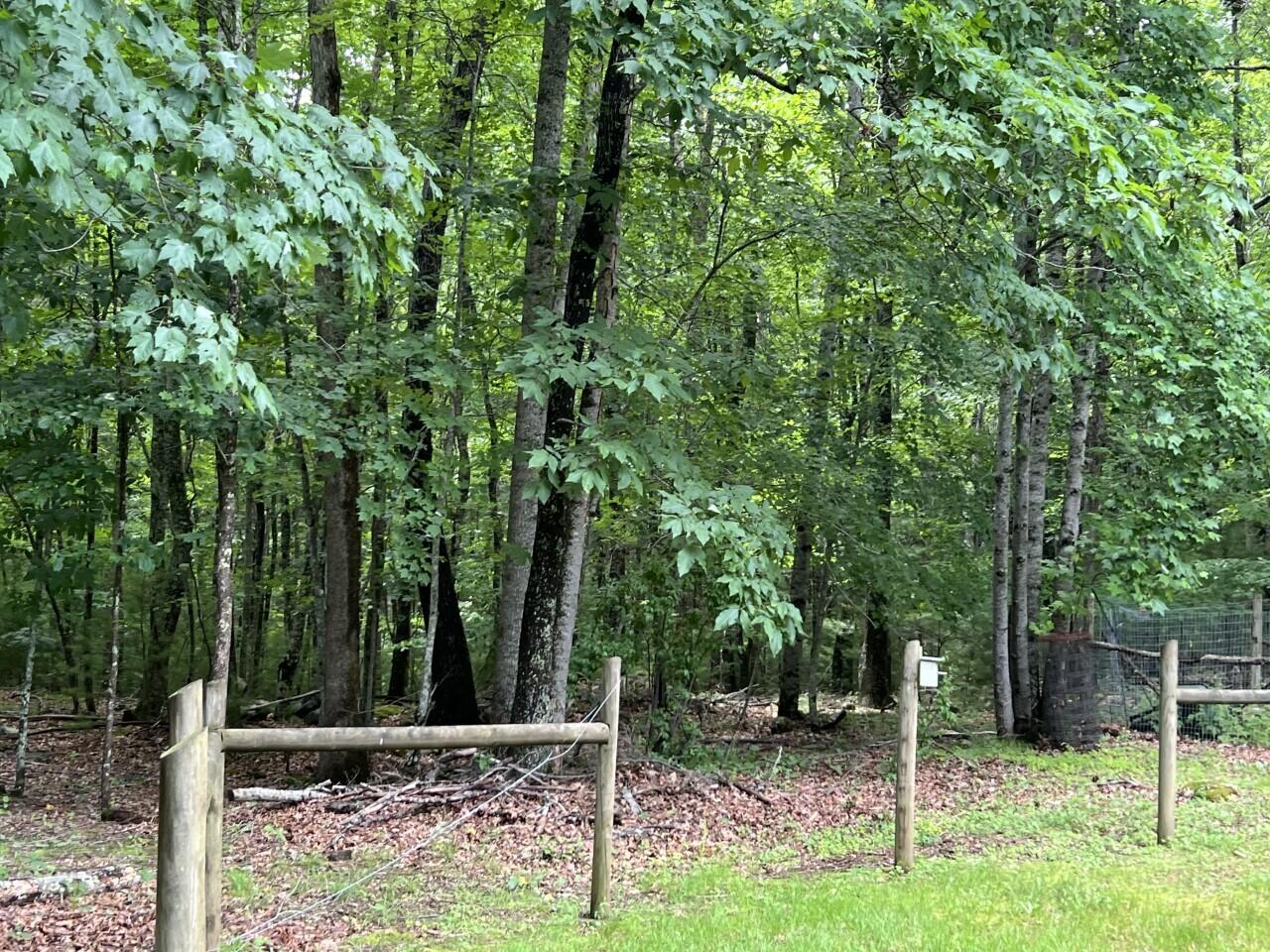 3935 Laurel Fork Road Rocky Gap, VA 24366 - Photo 11 of 29 Yard 5