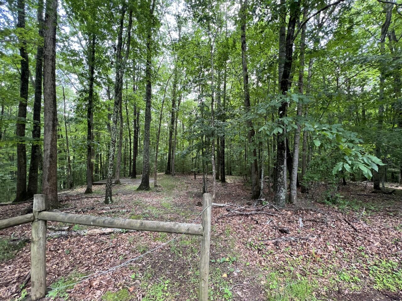 3935 Laurel Fork Road Rocky Gap, VA 24366 - Photo 28 of 29 Yard 4