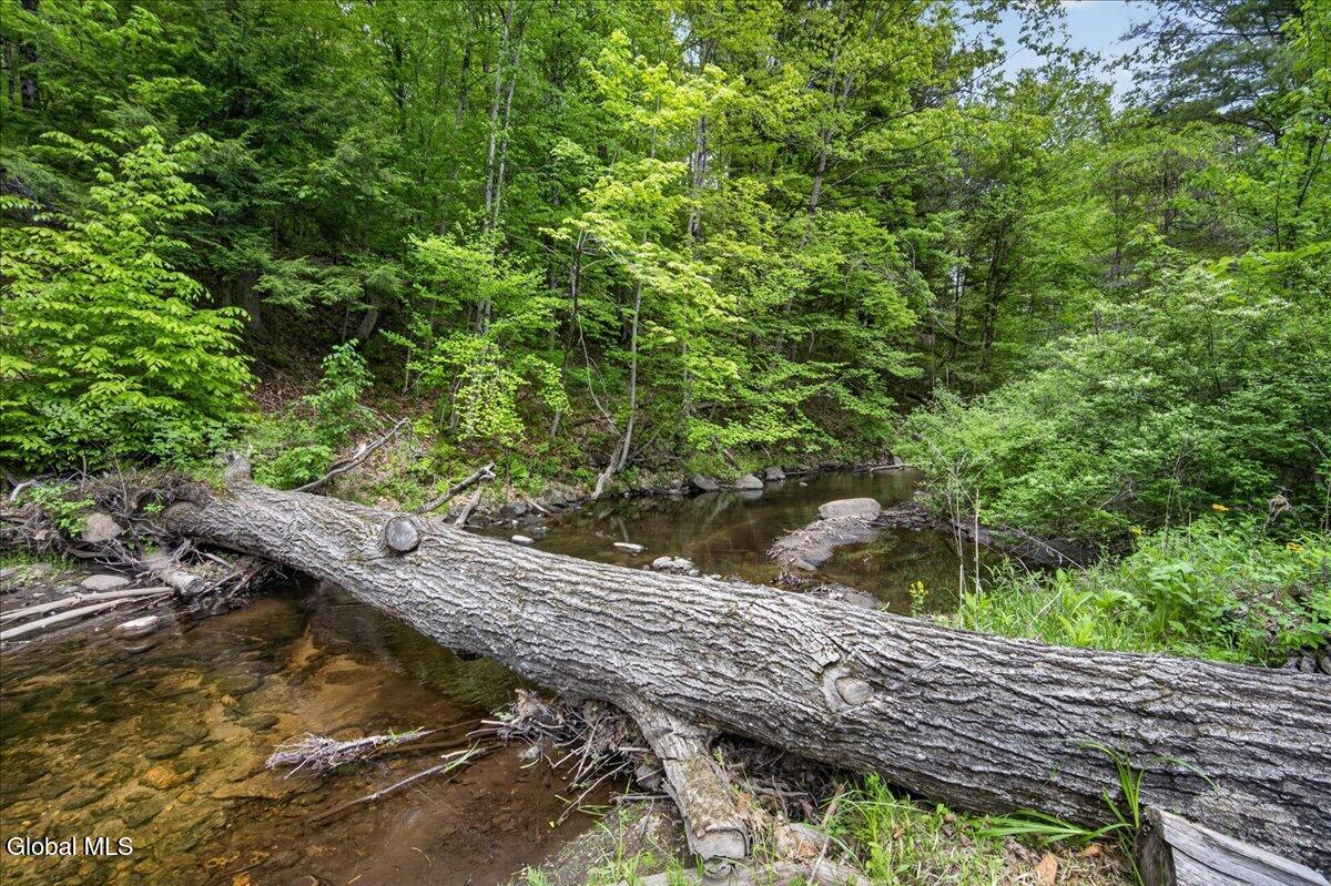 5671 Parkis Mills Road Galway, NY 12074 - Photo 51 of 64 48-5671 PARKIS MILLS-16