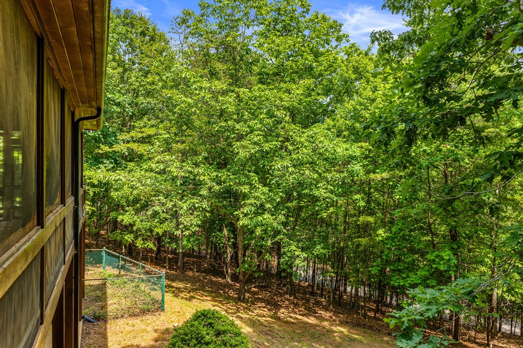 220 Blue Ridge Trail Morganton, GA 30560 - Photo 50 of 58