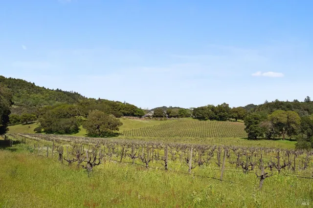 $9,950,000 | 18000 Gehricke Road, Sonoma, CA 95476