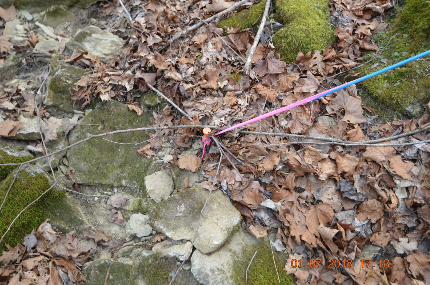 1290 Dennis Road, Unit 3 Lawrenceburg, KY 40342 - Photo 52 of 76 Photo 52