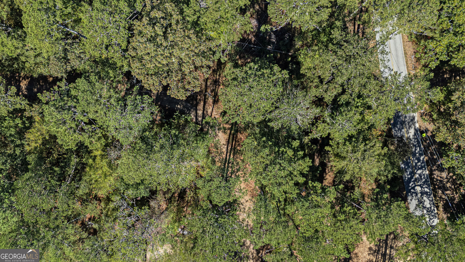 2930 Bonds Lake Road Northwest Conyers, GA 30012 - Photo 5 of 11