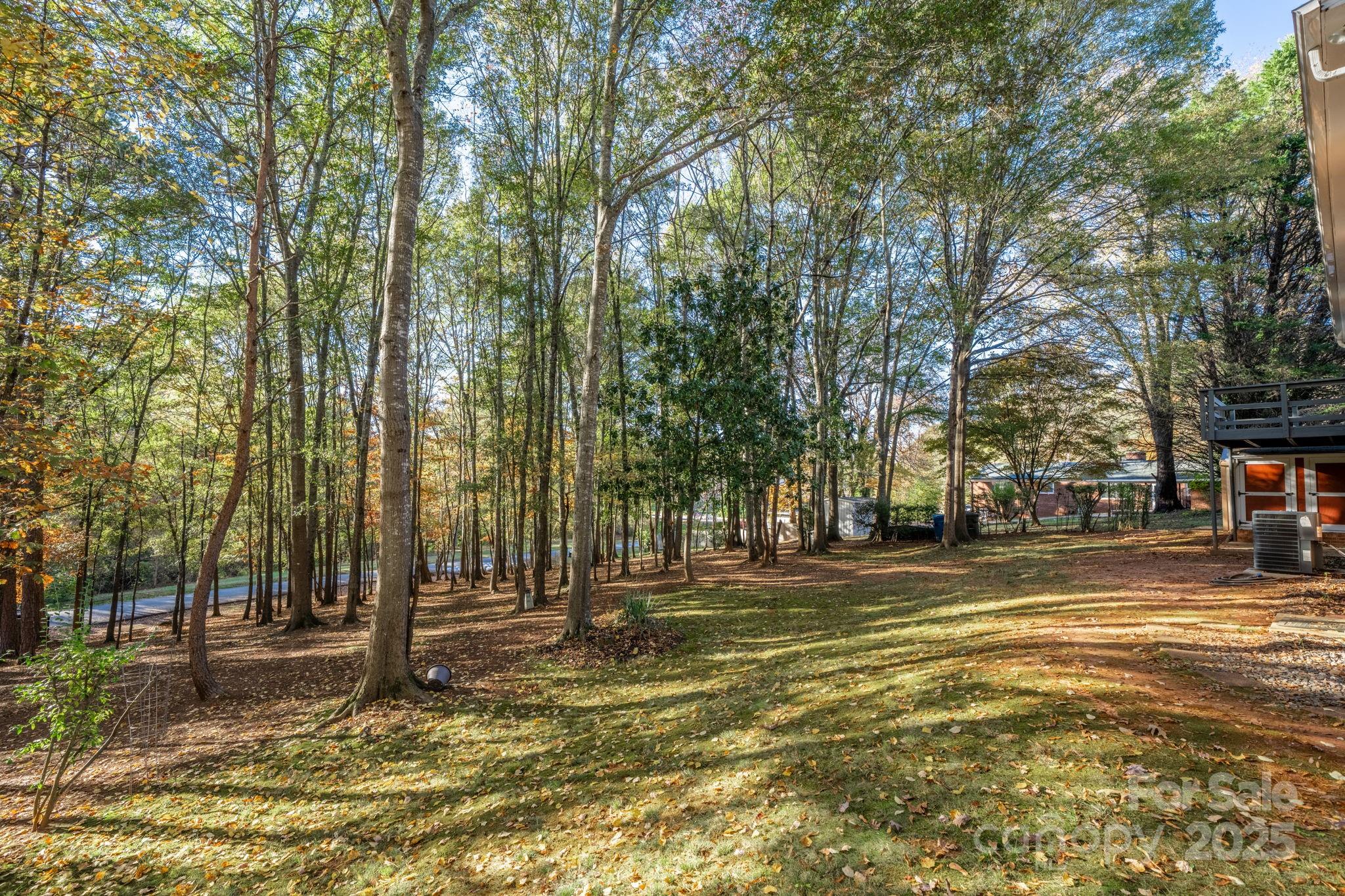 1185 10th St Pl Circle Northwest Hickory, NC 28601 - Photo 37 of 38 a view of a yard with a trees