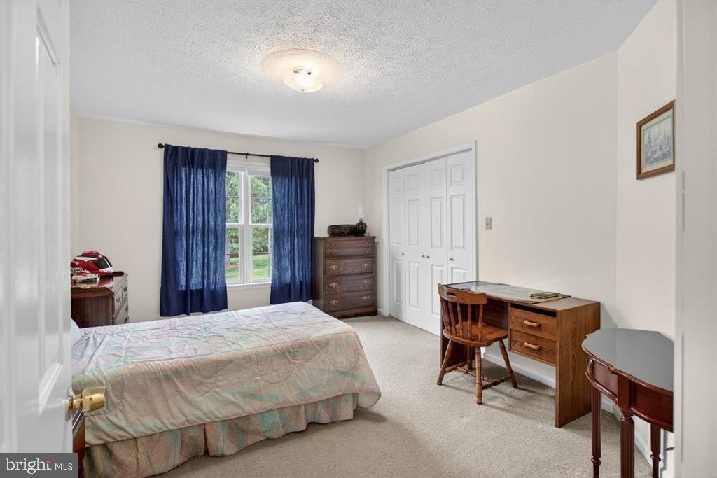2220 Pine Woods Road Quicksburg, VA 22847 - Photo 47 of 55