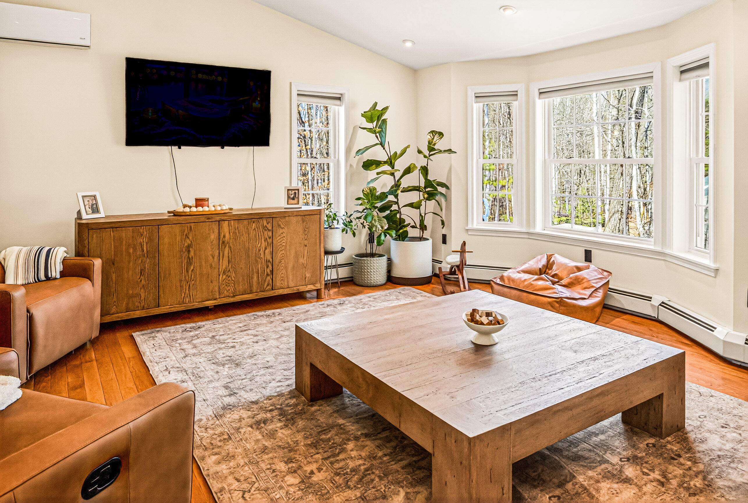 179 Egypt Road Raymond, ME 04071 - Photo 22 of 83 Living Room-7889