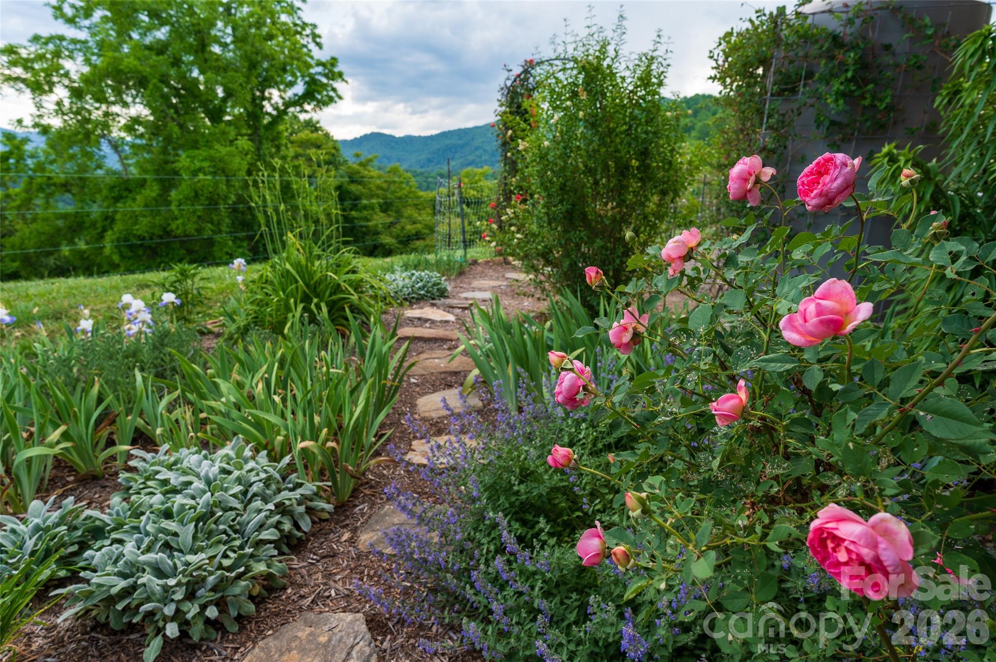 1045 Graham Road Marshall, NC 28753 - Photo 48 of 48