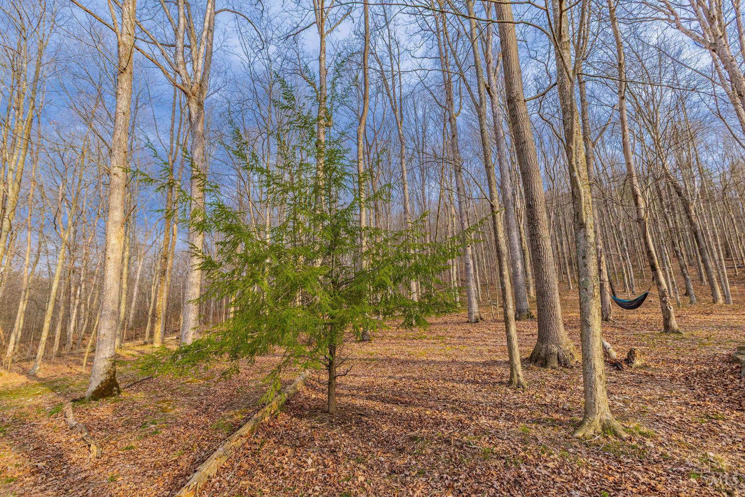 1620 Coffee Hollow Road Peebles, OH 45660 - Photo 67 of 68
