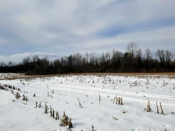 435 North Brown Road, Unit PARCEL A Bailey, MI 49303 - Photo 1 of 3 Resized_20210126_1006191