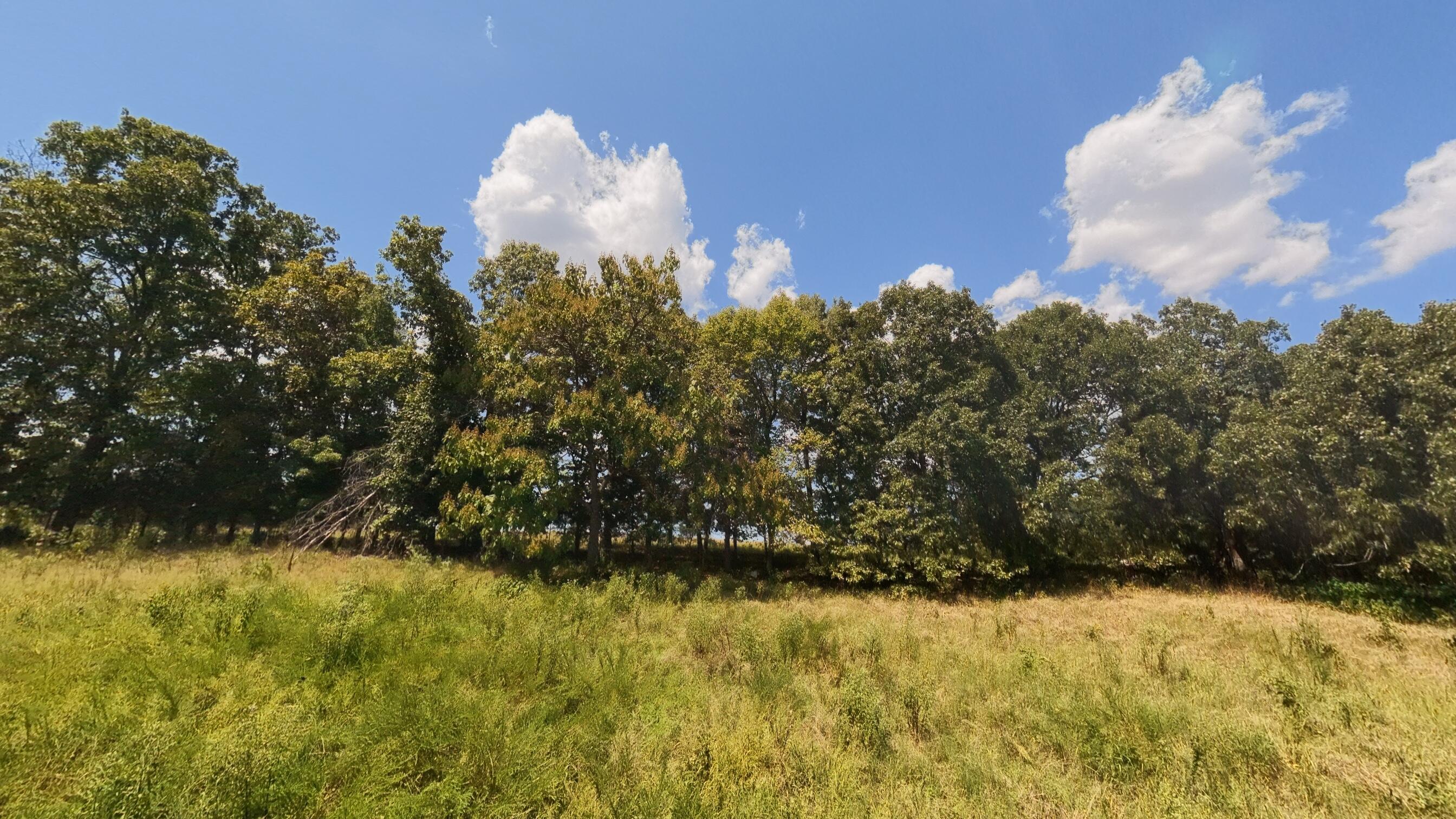 0 Bamber Street Mammoth Spring, AR 72554 - Photo 17 of 39 32+_- Acres015