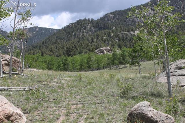 159 Emerald Way Lake George, CO 80827 - Photo 16 of 26 Gallery Image 16