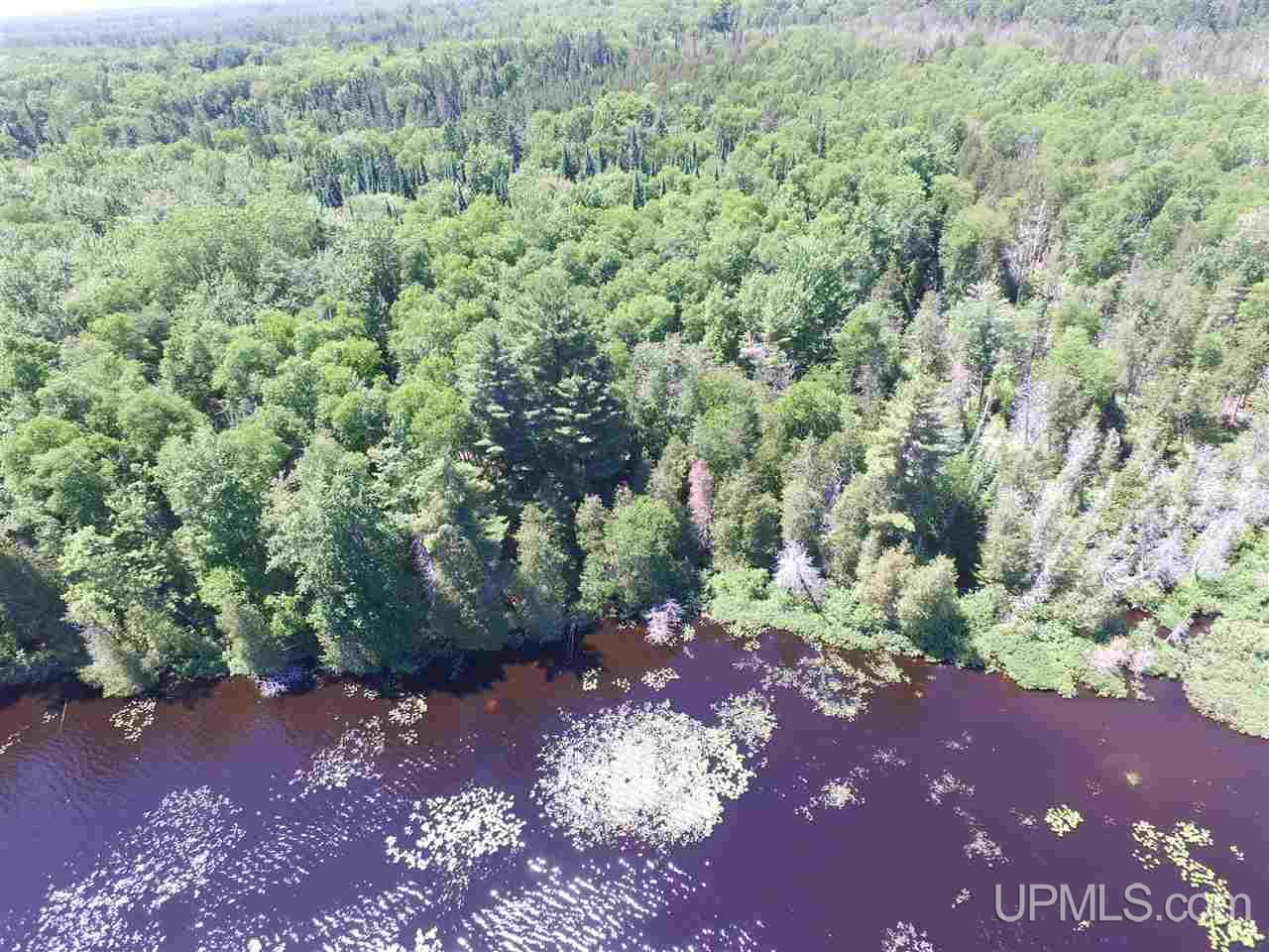 Tbd Usfs Road Munising, MI 49895 - Photo 10 of 14