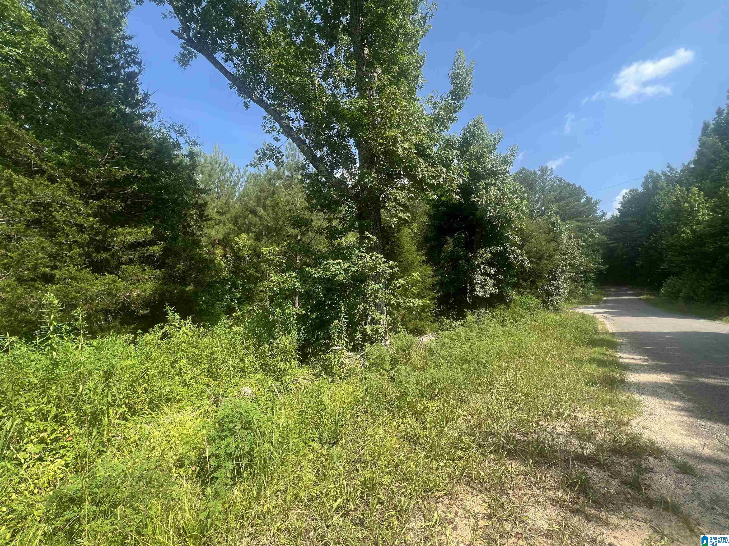 0 Mat Moore Road Lawley, AL 36793 - Photo 1 of 5