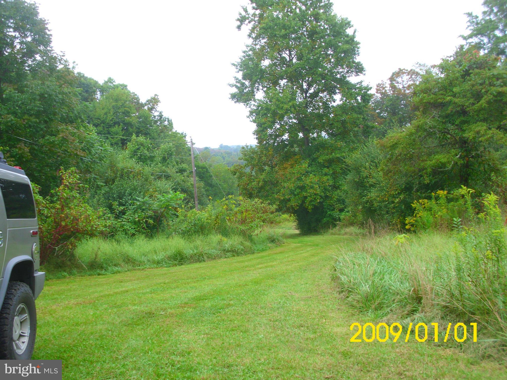 596 Fiery Run Road Linden, VA 22642 - Photo 12 of 15 View