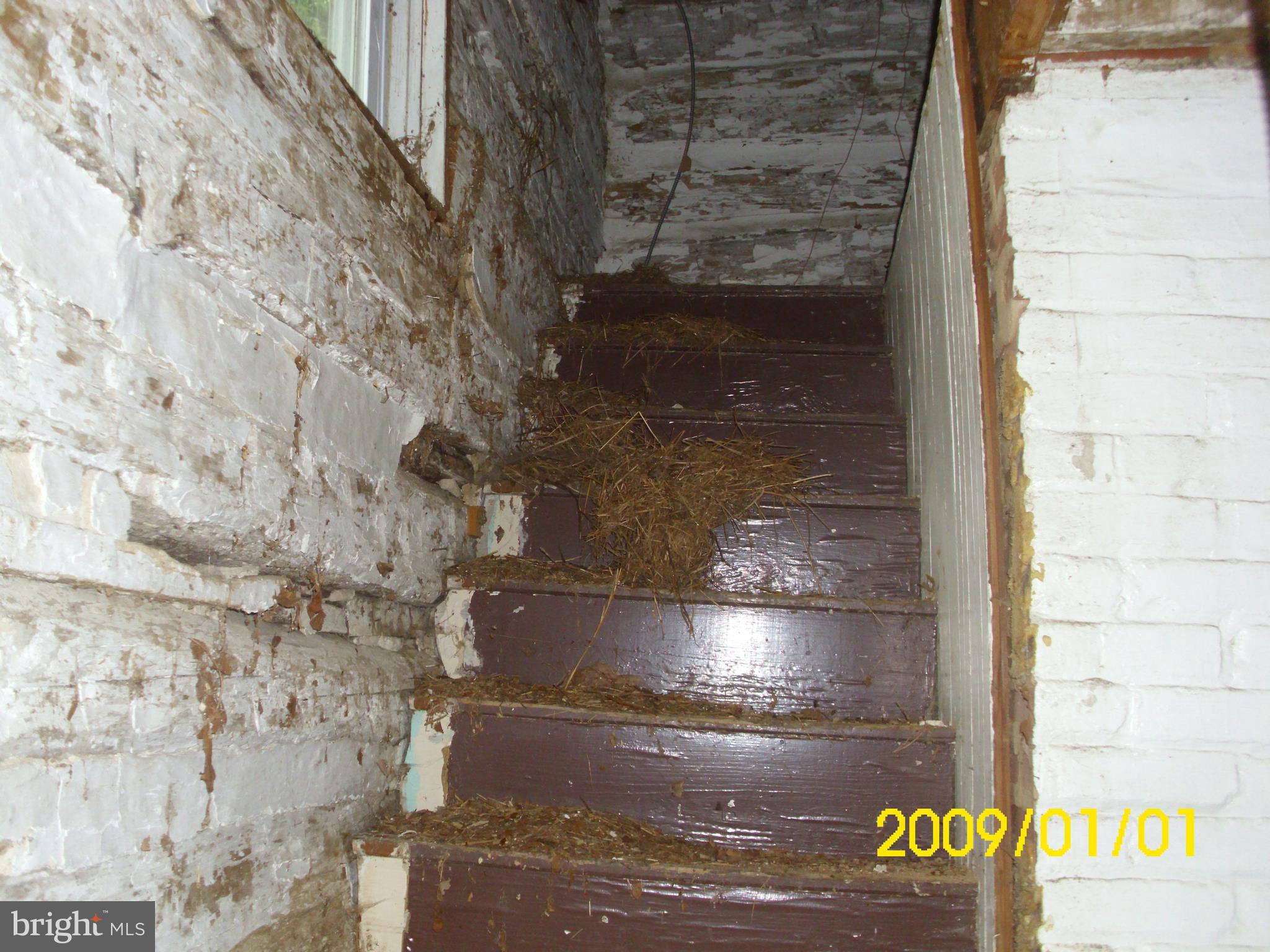596 Fiery Run Road Linden, VA 22642 - Photo 4 of 15 Interior (General)