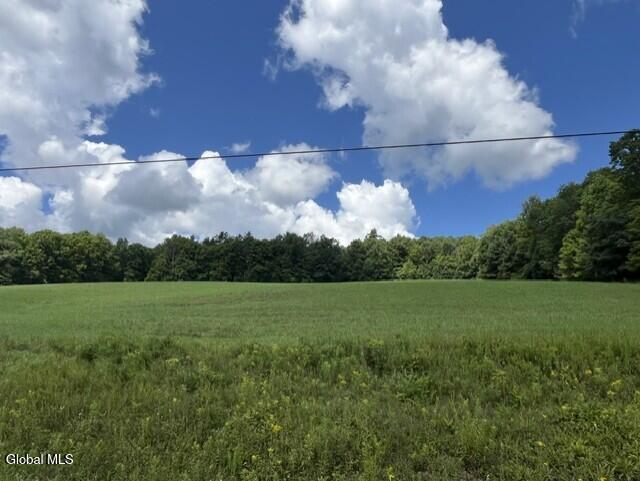 359 Baldwin Road Summit, NY 12093 - Photo 16 of 22 Site View 1