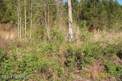 3313 Old Anderson Store Road Watha, NC 28478 - Photo 1 of 2 100_1118