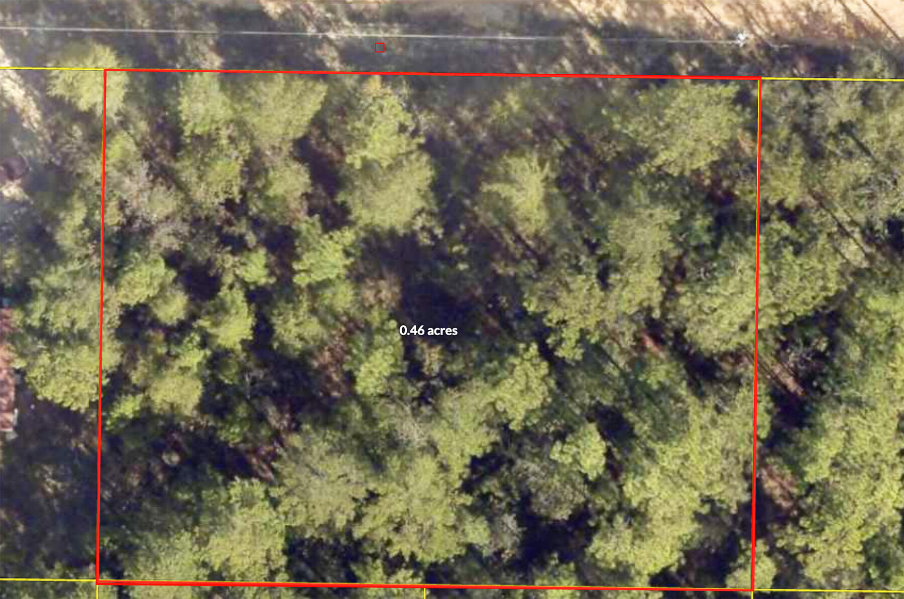 4-5 East Laurel Lane DeFuniak Springs, FL 32433 - Photo 12 of 25 a picture of flowers