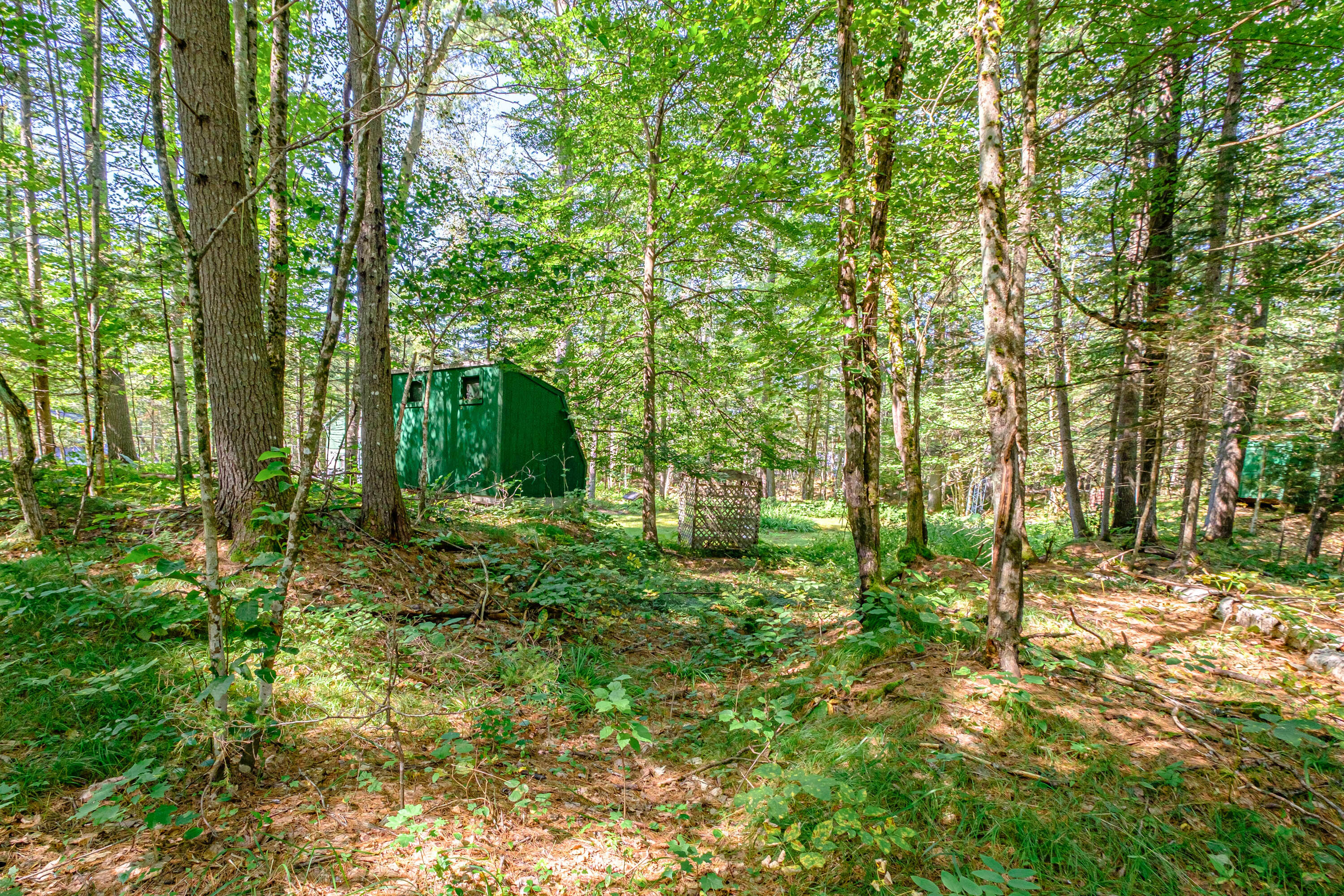 349 East Andover Road East Andover, ME 04226 - Photo 14 of 35 20230831gp-62013