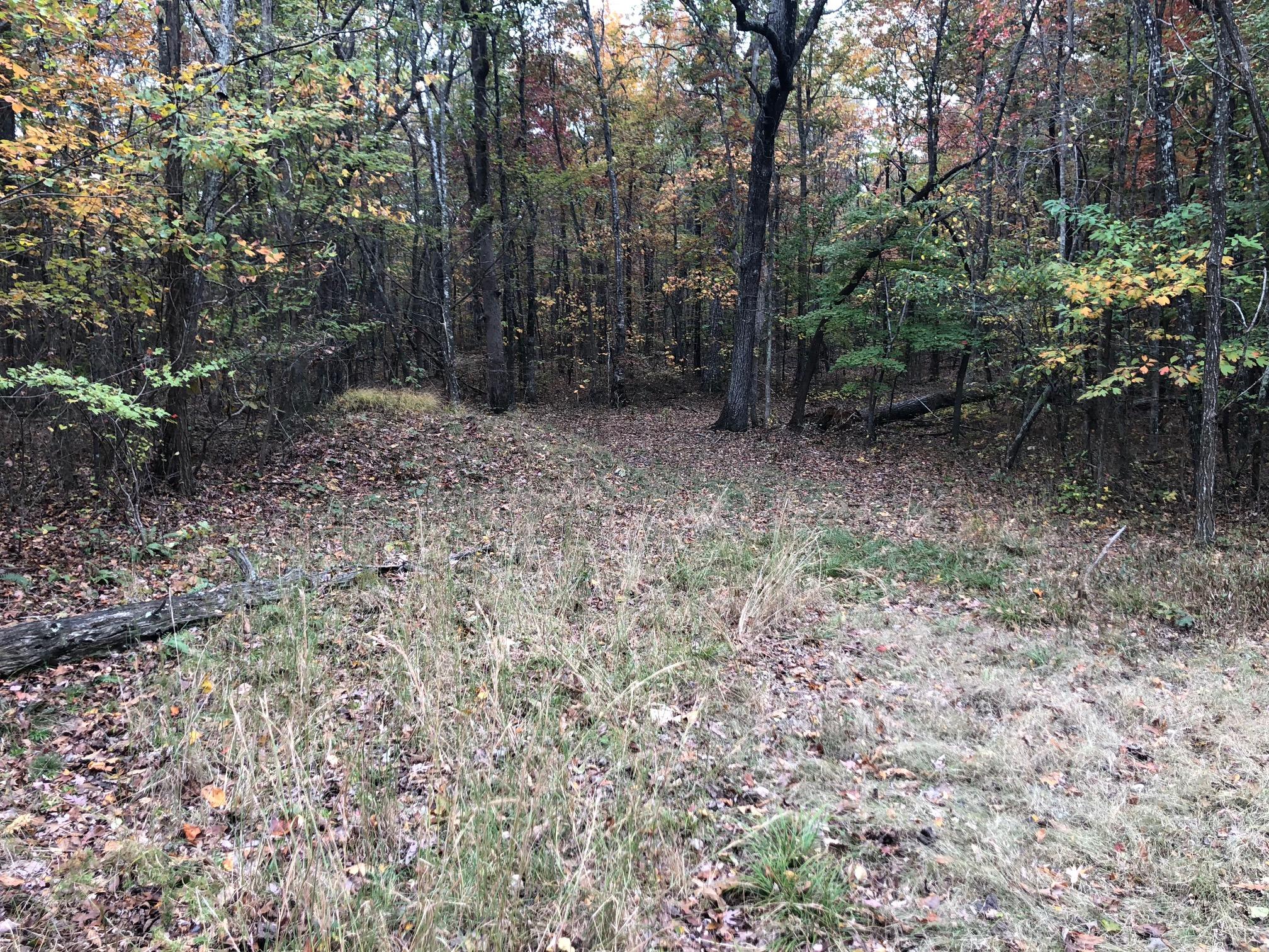 40 Brow Road, Unit 40 Monteagle, TN 37356 - Photo 3 of 39 IMG_3071