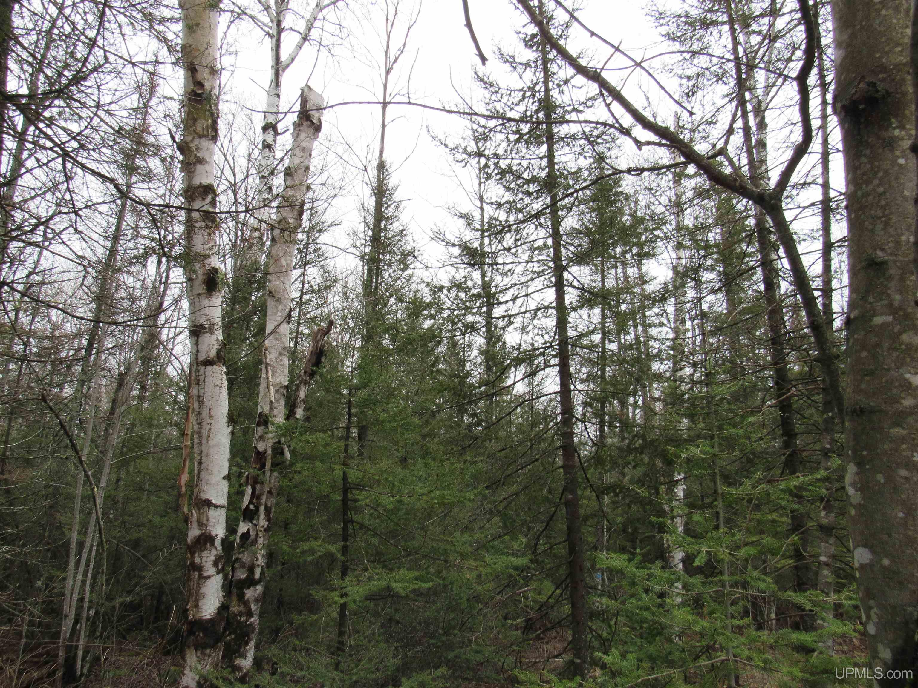 Tbd Deerton-sand Lake Road Deerton, MI 49822 - Photo 3 of 23